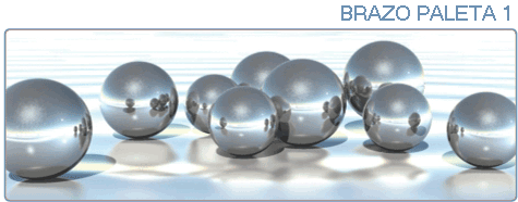 BRAZO PALETA 1